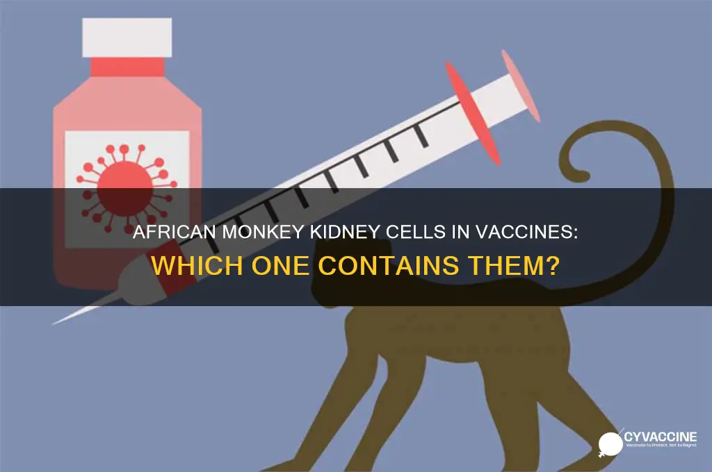 which vaccine has african monkey kidney cells in it