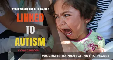 Debunking the Myth: The MMR Vaccine and Autism Connection