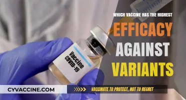 Top Vaccine Efficacy: Which Shot Best Battles COVID Variants?