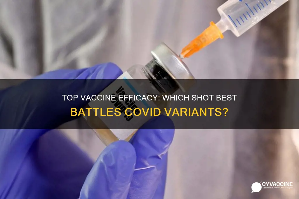 which vaccine has the highest efficacy against variants