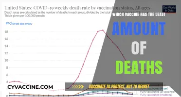 Comparing Vaccine Safety: Which One Has the Lowest Death Rate?