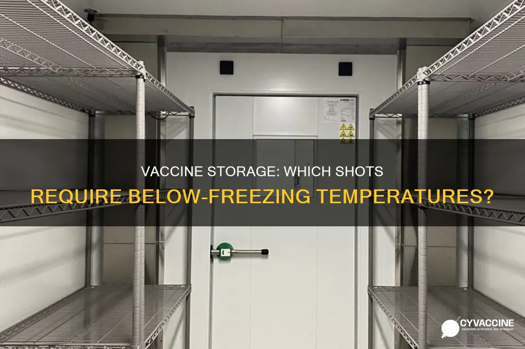 which vaccine has to be kept below freezing
