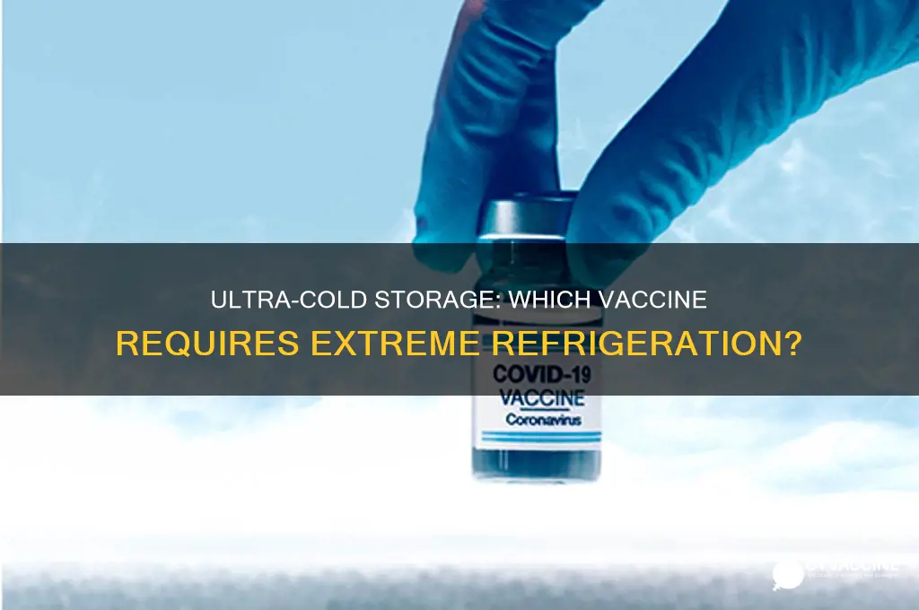 which vaccine has to be kept really cold