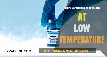 Vaccine Storage: Which Shots Require Ultra-Cold Temperatures?