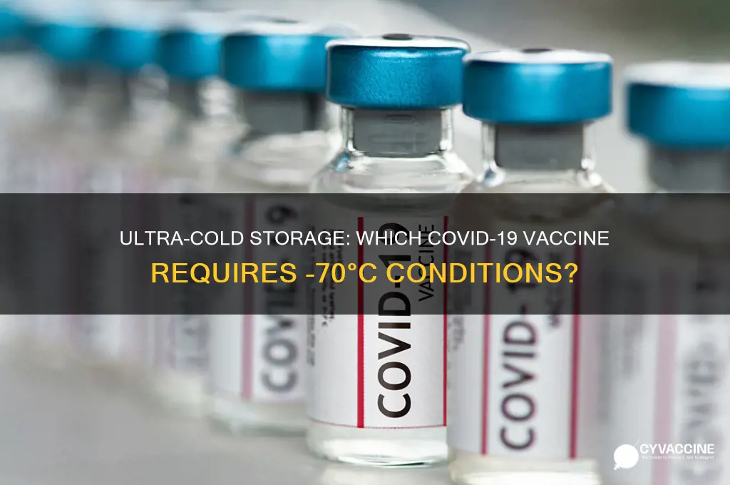 which vaccine has to be stored at minus 70