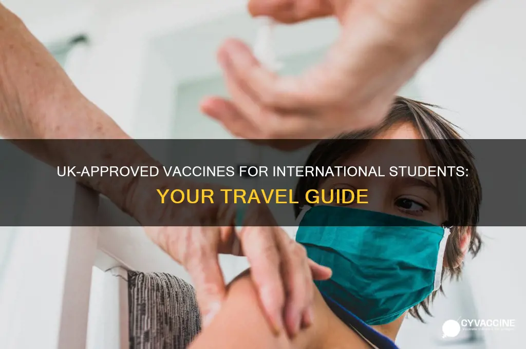 which vaccine is accepted in uk for international students