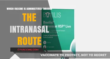 Intranasal Vaccines: A Needle-Free Approach to Immunization