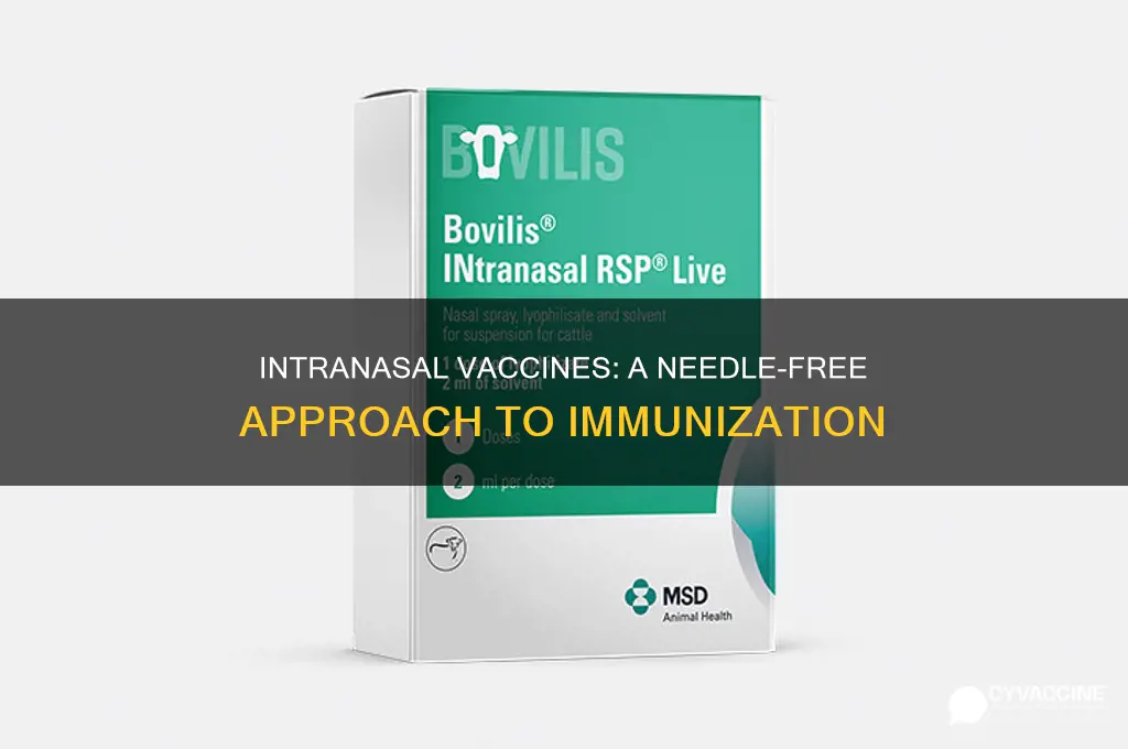 which vaccine is administered through the intranasal route