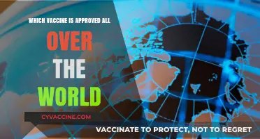 Global Vaccine Approval: Which Shots Are Accepted Worldwide?