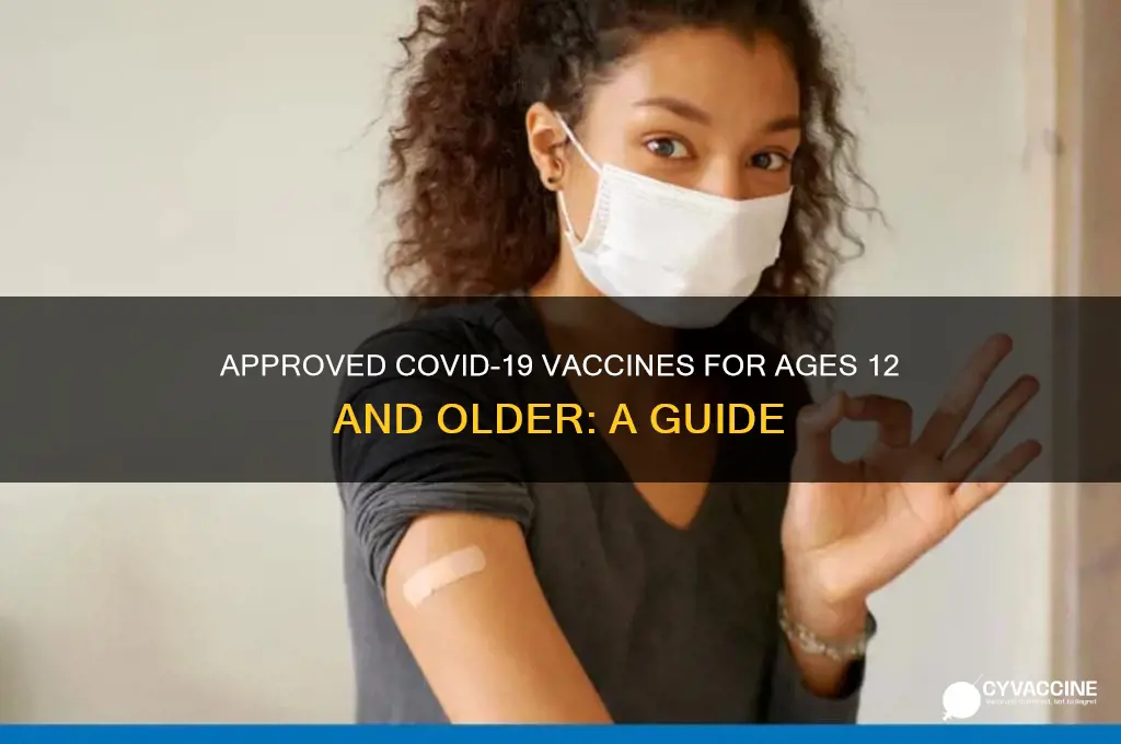 which vaccine is approved for 12 and up