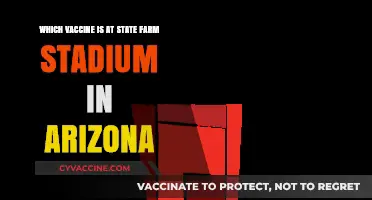 State Farm Stadium Arizona: Which COVID-19 Vaccine is Available?