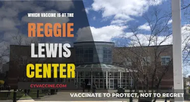 Reggie Lewis Center Vaccine Hub: Which COVID-19 Vaccine is Available?