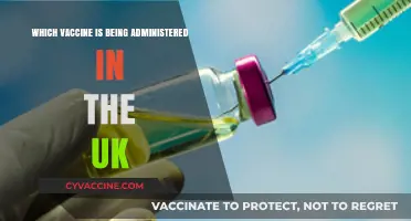 UK's COVID-19 Vaccination Program: Which Vaccines Are Being Administered?