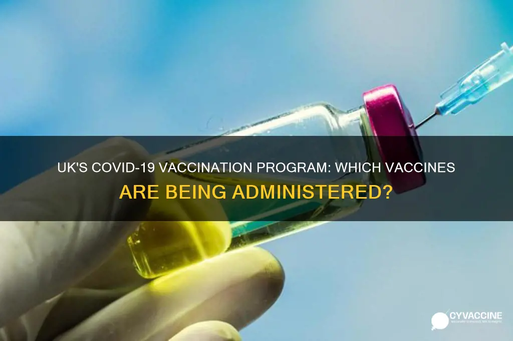 which vaccine is being administered in the uk