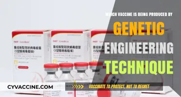 Genetically Engineered Vaccines: Innovations in Modern Biotechnology and Medicine