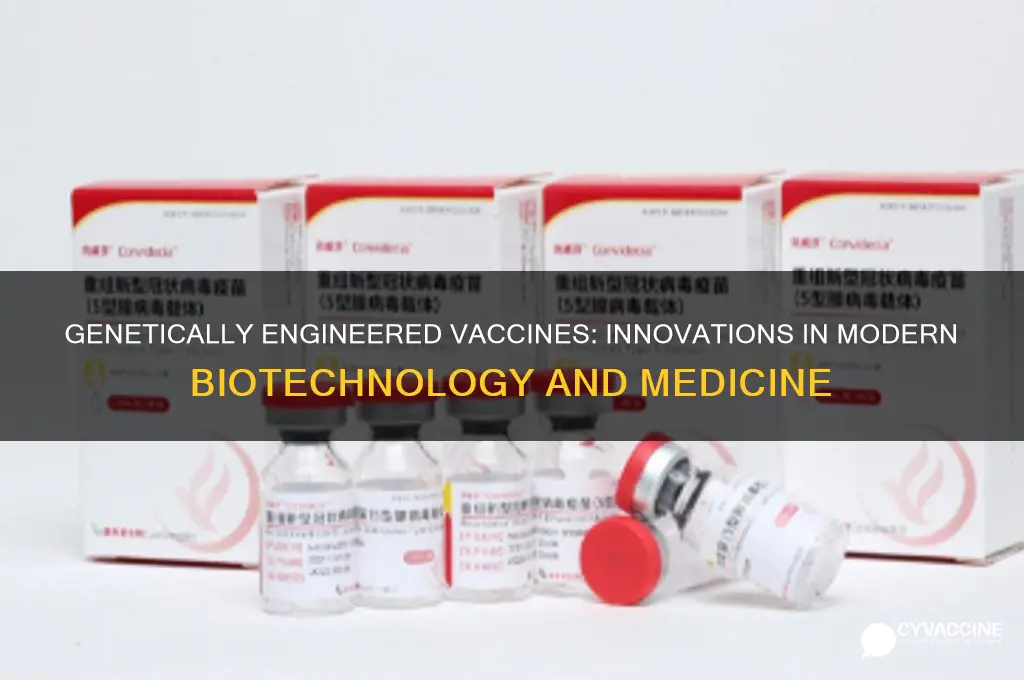 which vaccine is being produced by genetic engineering technique