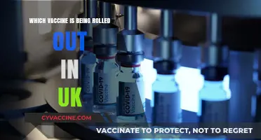 UK's Latest Vaccine Rollout: Which Jab is Being Administered Now?