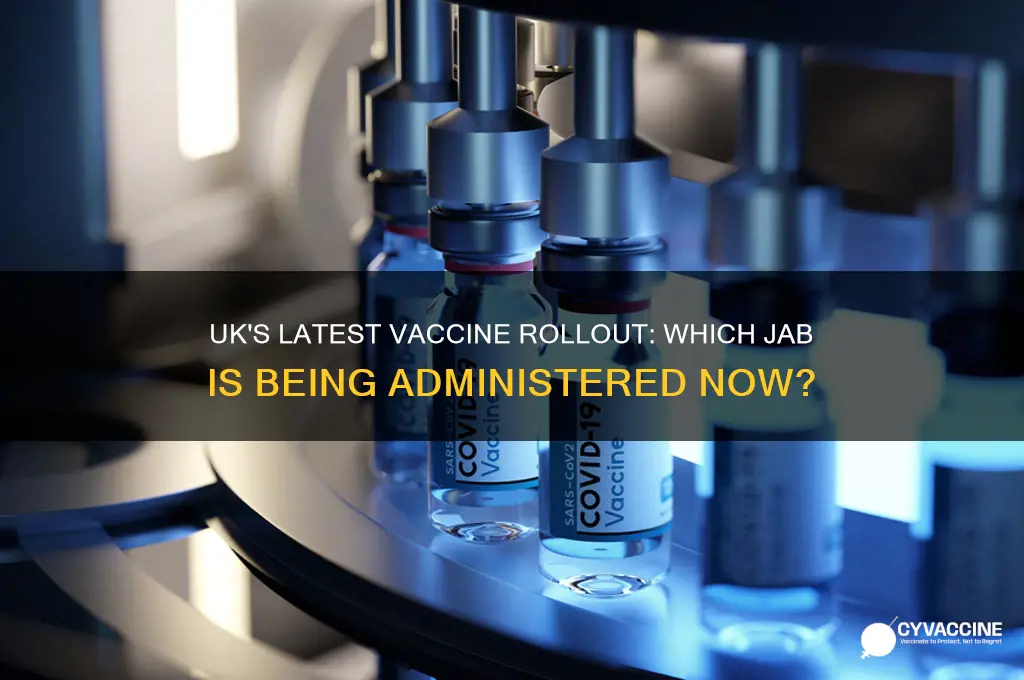 which vaccine is being rolled out in uk