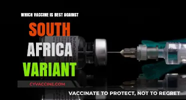 Best Vaccine Against South Africa Variant: Expert Recommendations and Insights