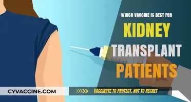 Best Vaccine Options for Kidney Transplant Patients: Expert Recommendations