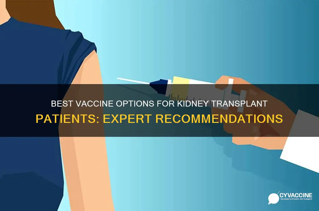 which vaccine is best for kidney transplant patients
