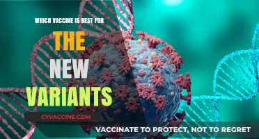 Best Vaccine Options for Emerging COVID-19 Variants: Expert Insights
