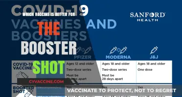 Choosing the Right Booster Shot: Which Vaccine Offers Optimal Protection?