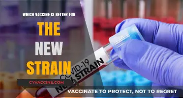 New Strain Vaccines Compared: Which One Offers Better Protection?