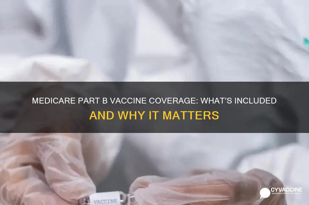 which vaccine is covered under medicare part b