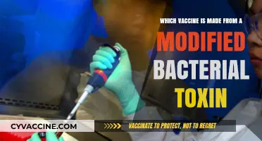 Modified Toxins: How Vaccines Fight Bacteria