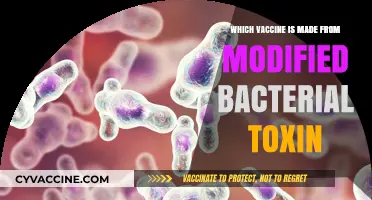 Modified Bacterial Toxin: The Science Behind This Unique Vaccine