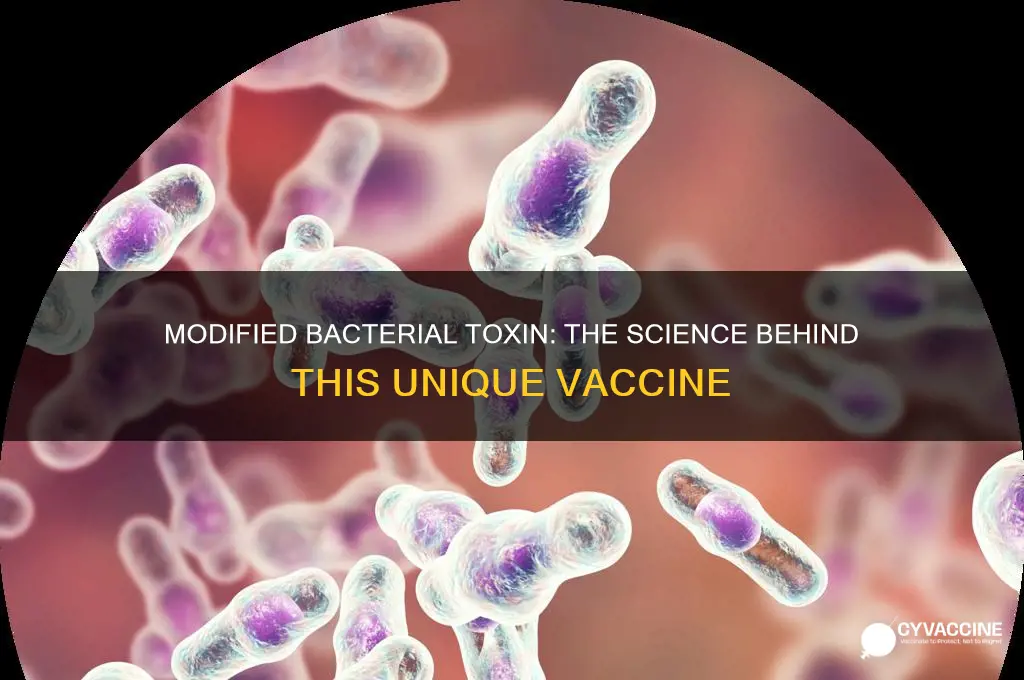 which vaccine is made from modified bacterial toxin