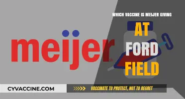 Meijer's Ford Field Vaccination: Which COVID-19 Vaccine is Being Administered?