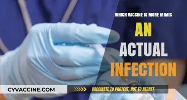 Which Vaccine Best Mimics Real Infections for Stronger Immunity?