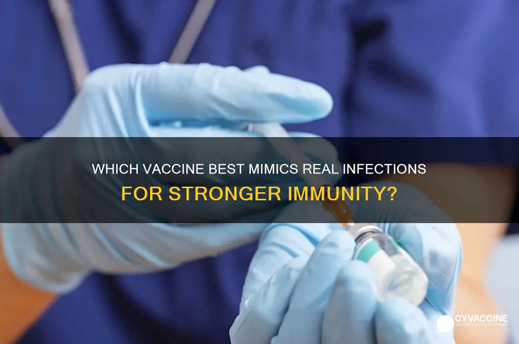 which vaccine is more mimic an actual infection