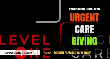 Next Level Urgent Care's Top Priority: Which Vaccine is Offered?