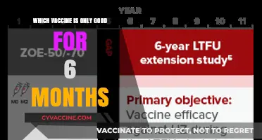Vaccine Efficacy Wanes: Which Shot Lasts Only Six Months?