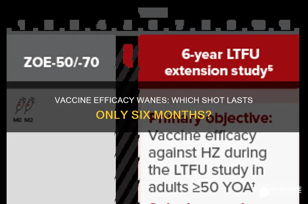 which vaccine is only good for 6 months