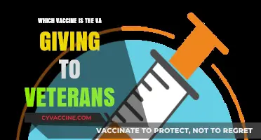 VA's COVID-19 Vaccine Rollout: Which Shot Are Veterans Receiving?