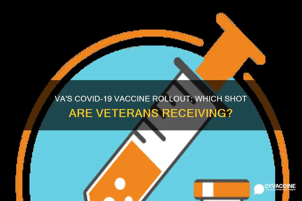 which vaccine is the va giving to veterans