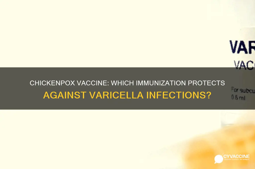 which vaccine is to immunize against the chicken pox