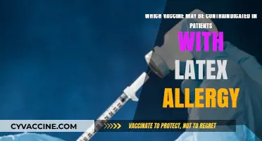 Latex Allergy and Vaccines: Which Shots to Avoid for Safety