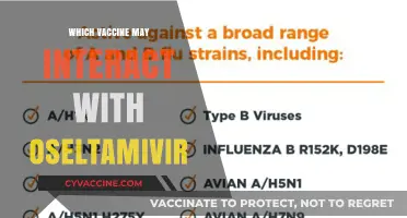 Vaccine-Oseltamivir Interactions: What You Need to Know for Safe Use