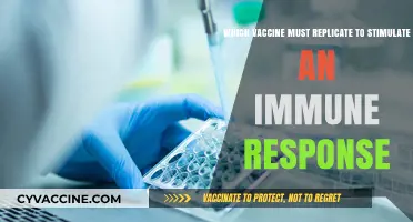 Live Attenuated Vaccines: How Replication Triggers Immune Response