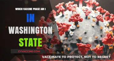 Washington State Vaccine Phases: Find Out Your Eligibility Now