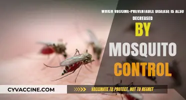 Mosquito Control Reduces This Vaccine-Preventable Disease: What You Need to Know