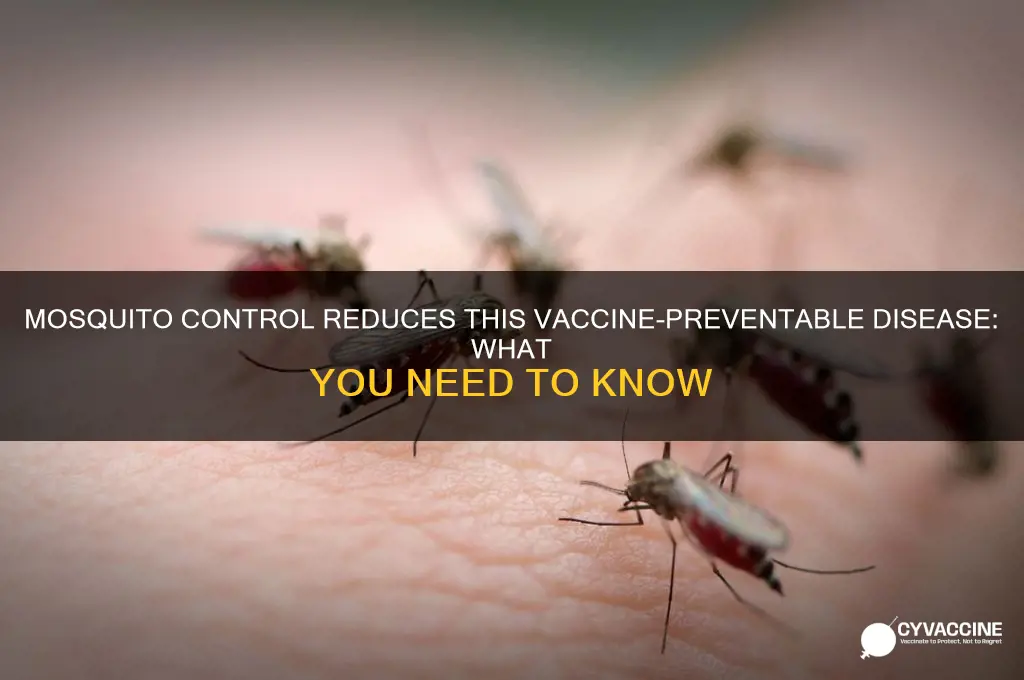 which vaccine-preventable disease is also decreased by mosquito control