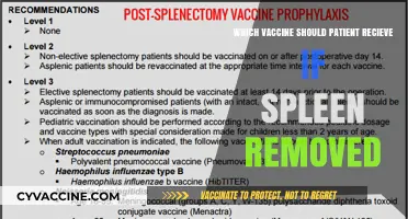 Vaccine Choices After Splenectomy: Essential Immunizations for Spleen-Removed Patients