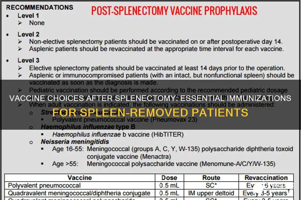 which vaccine should patient recieve if spleen removed