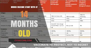 Essential Vaccines for Toddlers: Starting at 14 Months Old